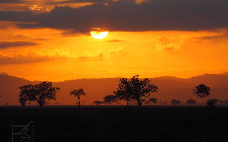 Zachód słońca w Mikumi (Tanzania)