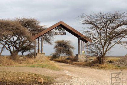 Brama do Serengeti