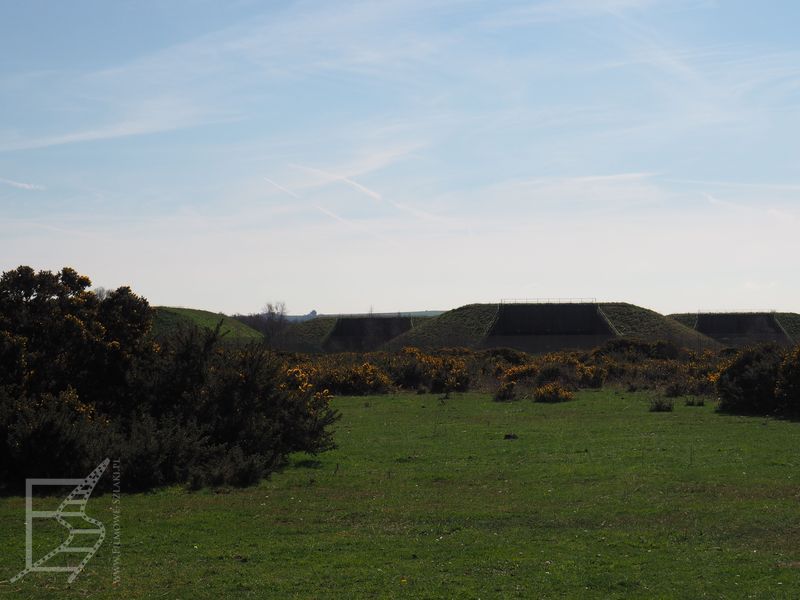 RAF Greenham Commons