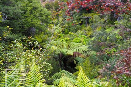 Park Narodowy Abel Tasman