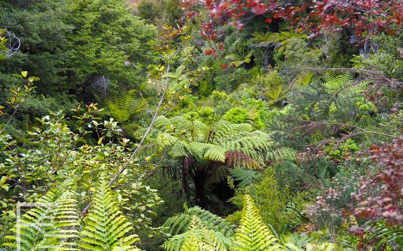 Park Narodowy Abel Tasman