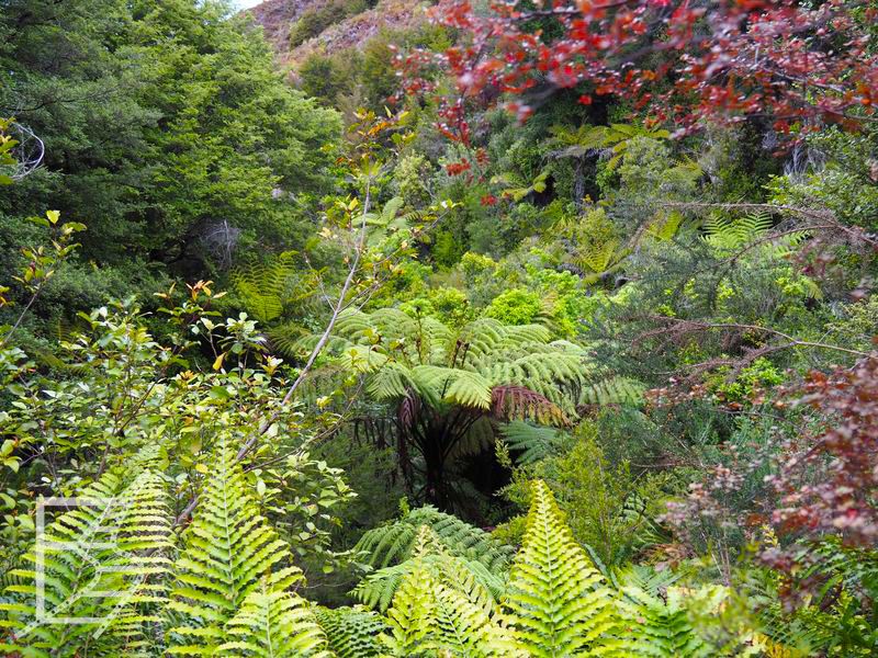 Park Narodowy Abel Tasman