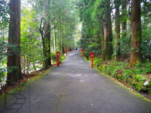 Droga do świątyni Hakone