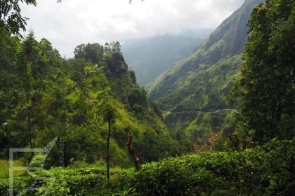 Okolice Elli, Sri Lanka