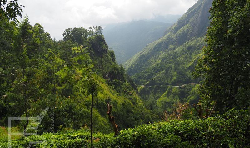 Okolice Elli, Sri Lanka