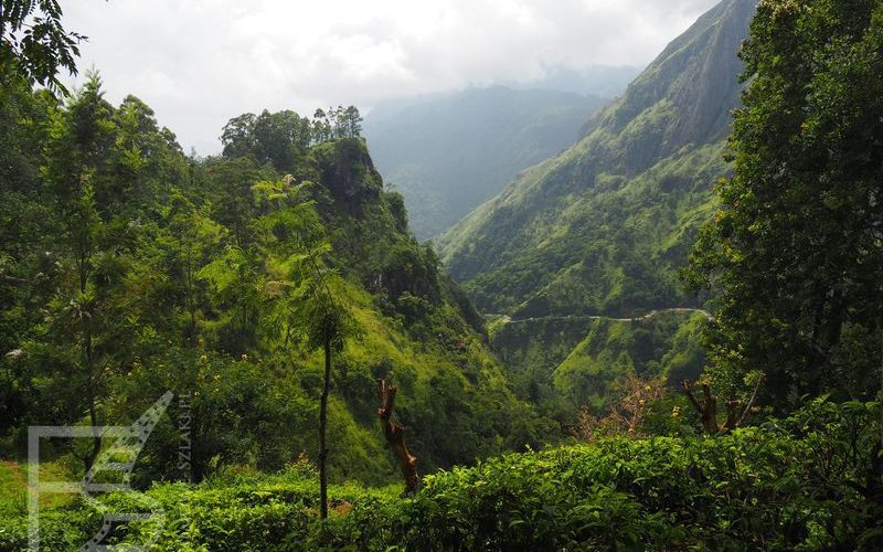 Okolice Elli, Sri Lanka