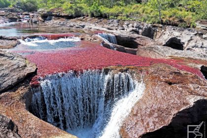 Sam środek Caño Cristales to przepiękne wodospady