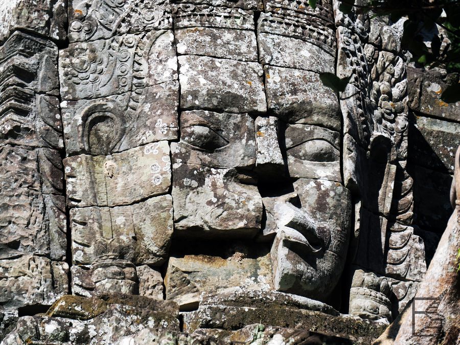 Wielkie głowy można zobaczyć na całym obszarze Angkoru. Ta pochodzi z Ta Som