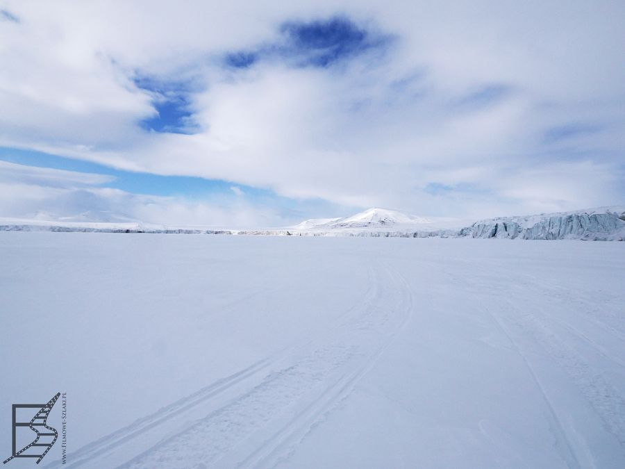 Szukając niedźwiedzi polarnych w Sabine Land