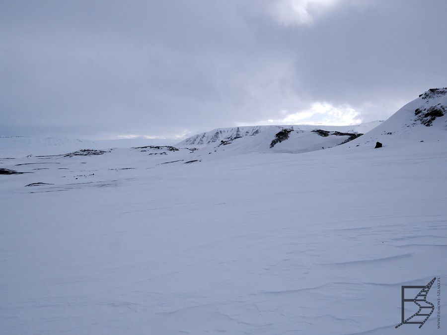 Lód i śnieg