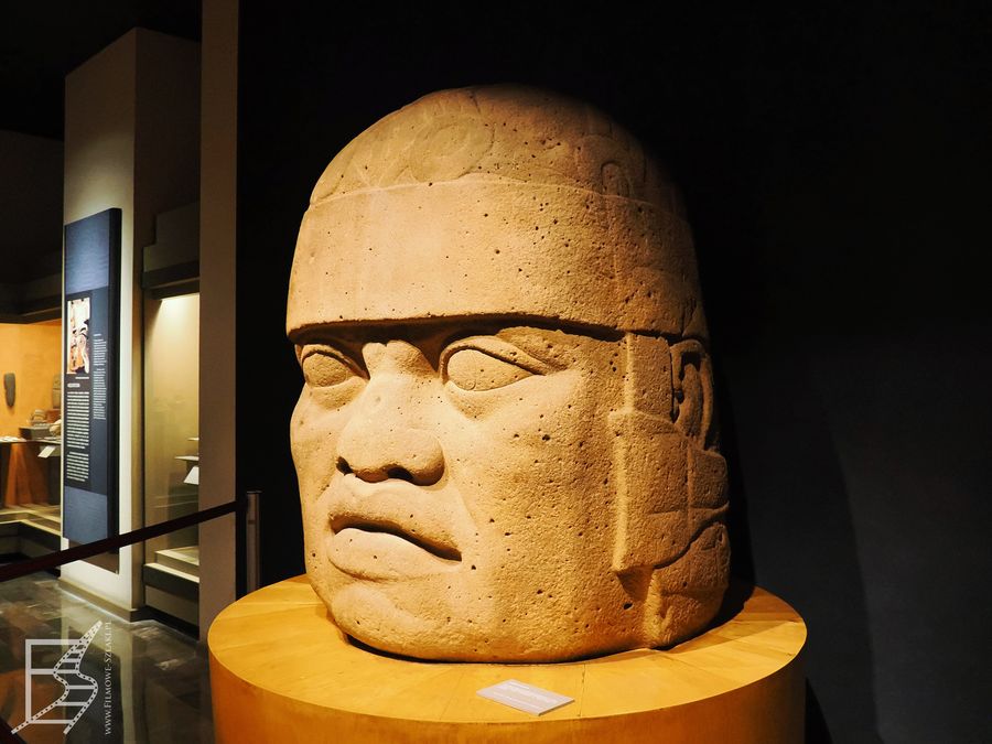 Głowa olmecka, Narodowe Muzeum Antropologiczne 