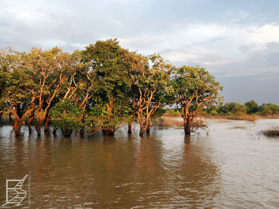 Wioska Kampong Khleang kończy się przy jeziorze Tonle Sap