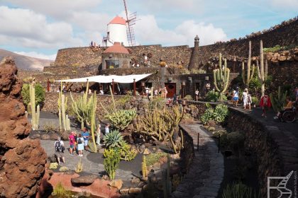 Ogród kaktusów na Lanzarote