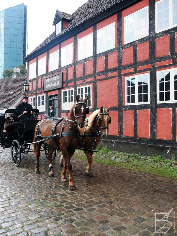 Skansen Den Gamble By i możliwość przejechania się bryczką