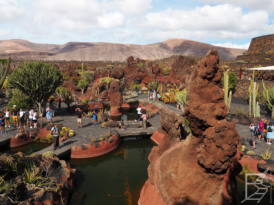 Ogród kaktusów na Lanzarote to jedno z dzieł które zaprojektował César Manrique Cabrera