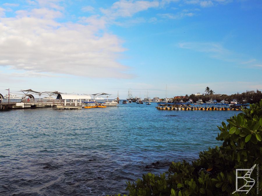 Port w Puerto Ayora to miejsce, skąd wyruszają rejsy po Galapagos