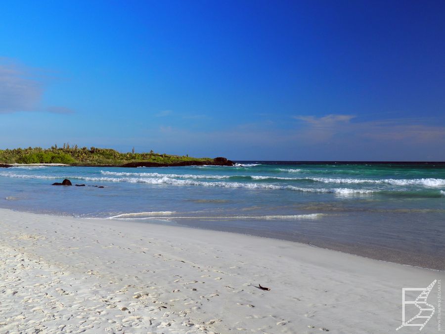 Plaża przy Tortuga Bay, Santa Cruz, Galapagos