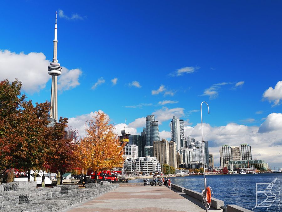 Widok na CN Tower i nadbrzeże