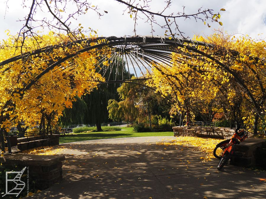 Toronto Music Garden