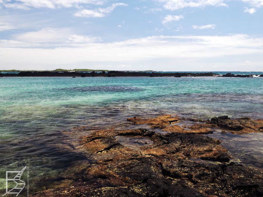 Laguna na wyspie Isabela